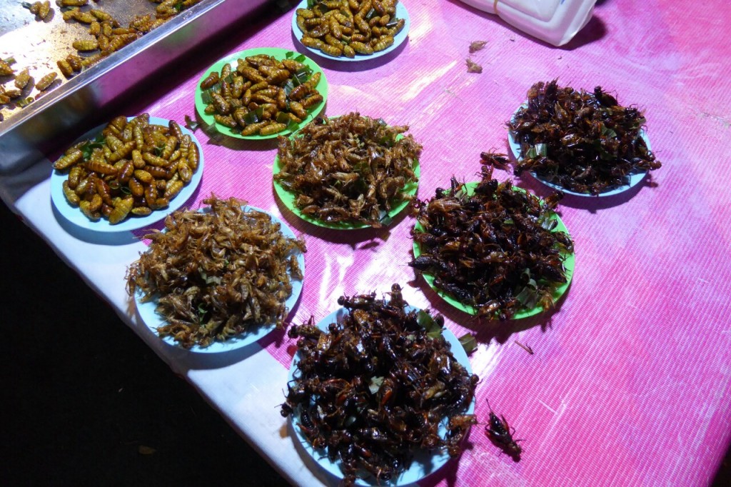 Iguarias viscosas e com patas no Night Market de Ayutthaya