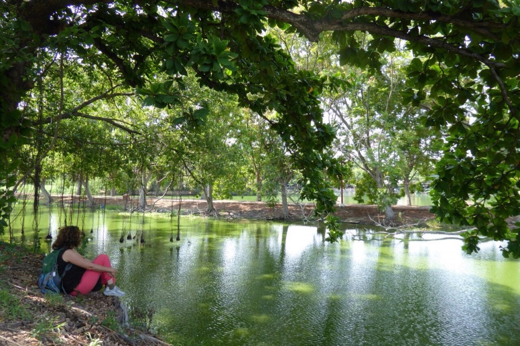 O sereno Parque Phra Ram em Ayutthaya