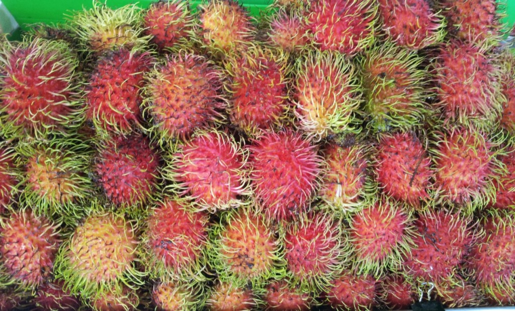 Rambutan, fruto tropical na Tailândia