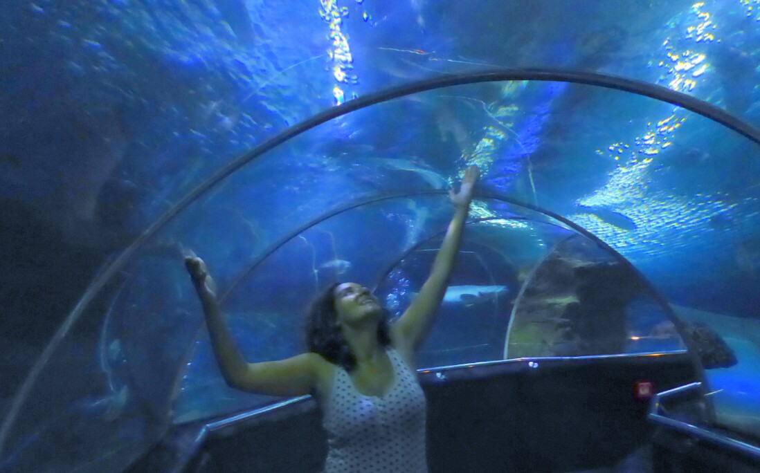 IMG_20150616_132047.jpg Dentro do túnel debaixo de água no Underwater World no Vinpearl Land de Nha Trang