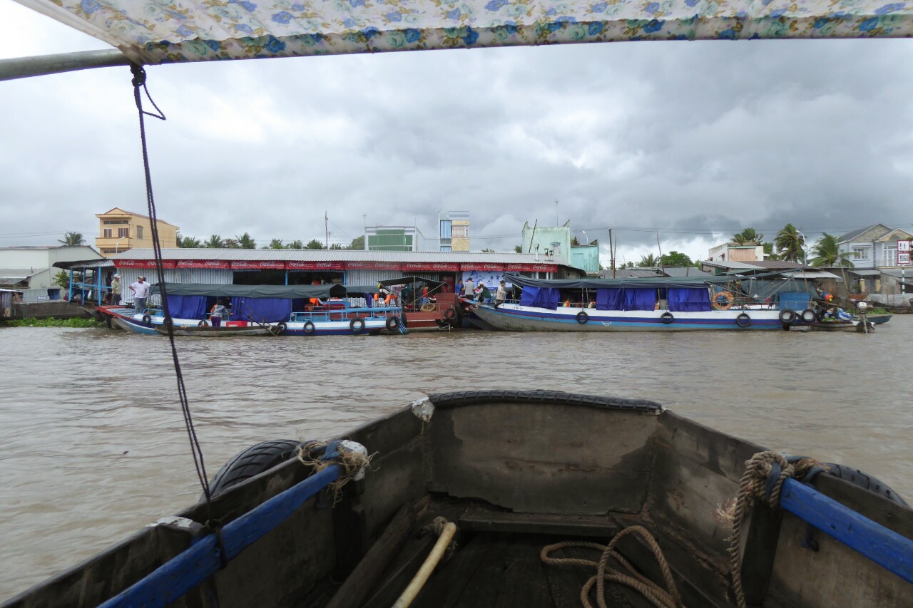 IMG_20150624_095557.jpg image