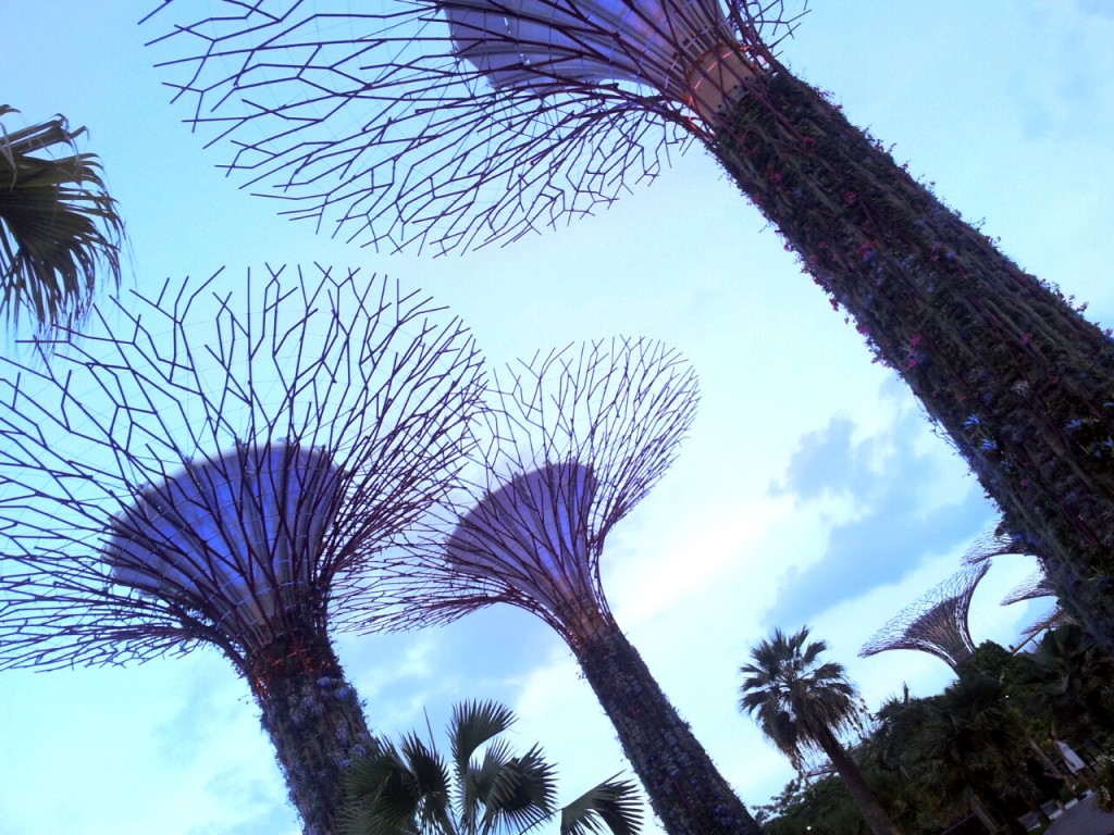 trees