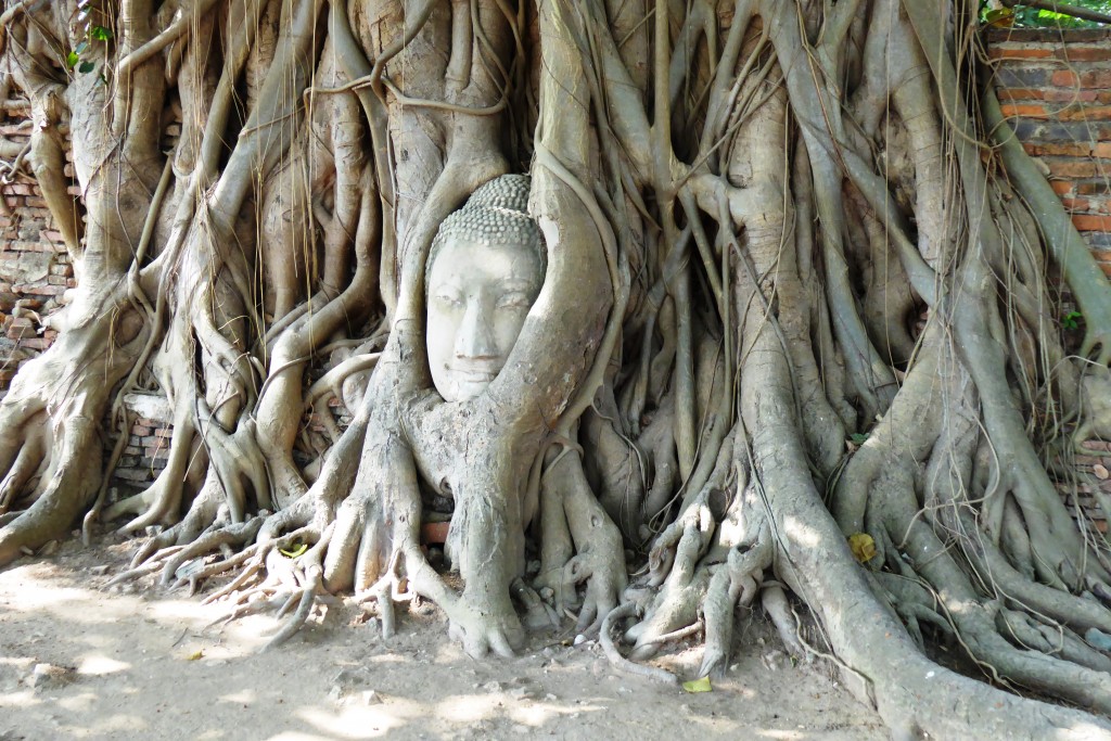 Wat Mahathat, Ayutthaya
