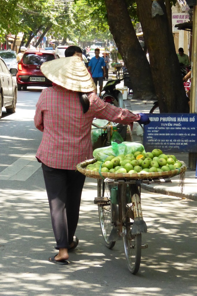Vendedor ambulante Vietname