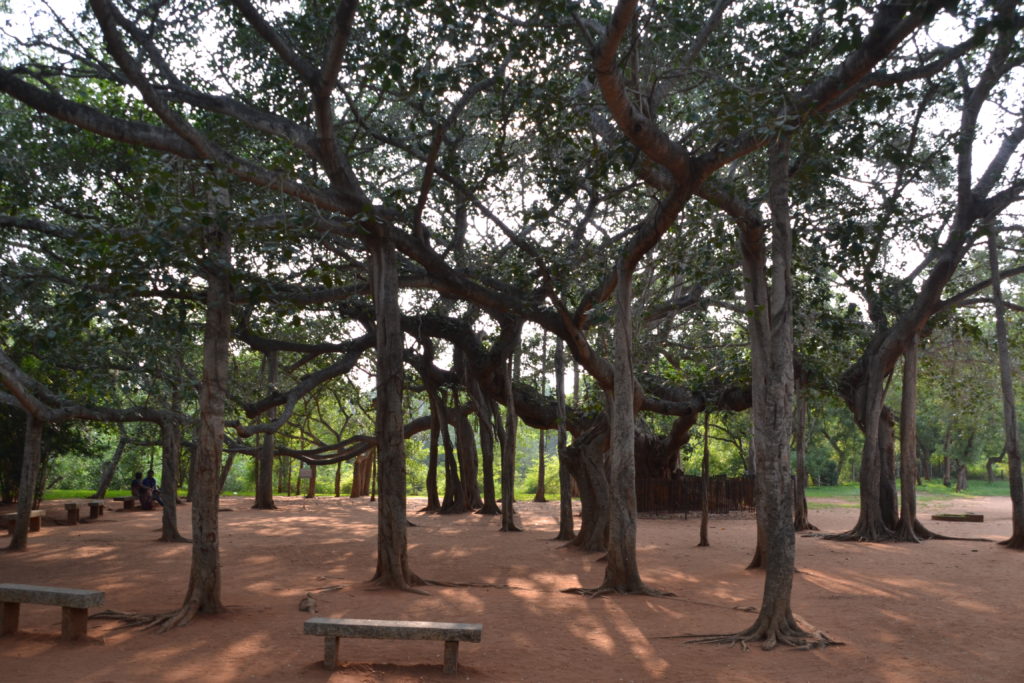 Auroville, India