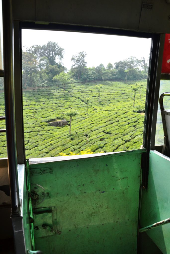 Vista de campos de chá preto, de dentro de autocarro a chegar a Munnar, no Sul da Índia